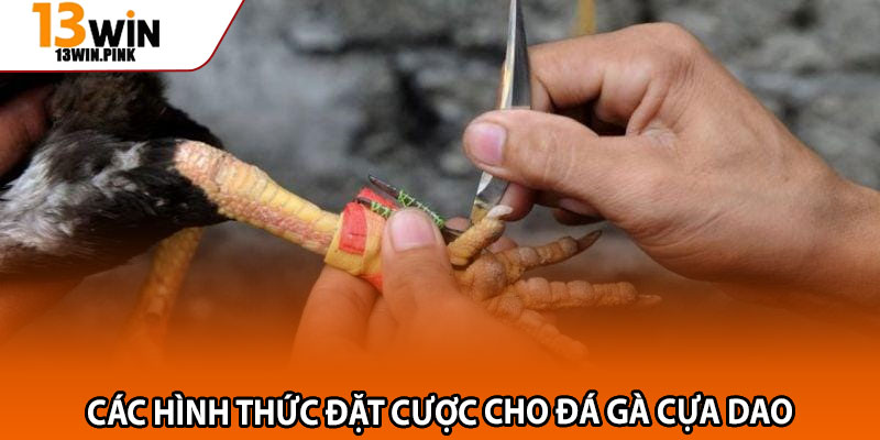 Đá Gà Cựa Dao 13win – Đấu Trường Cá Cược Uy Tín, Minh Bạch 4 Các hình thức đặt cược cho đá gà cựa dao