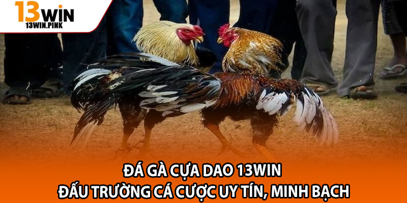 Đá Gà Cựa Dao 13win – Đấu Trường Cá Cược Uy Tín, Minh Bạch 1 Da Ga Cua Dao 13win – Dau Truong Ca Cuoc Uy Tin Minh Bach