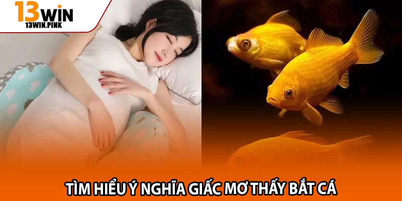 Mơ Thấy Bắt Cá – Giấc Mộng Báo Hiệu May Mắn Đến Gần? 2 Tìm hiểu ý nghĩa giấc mơ thấy bắt cá