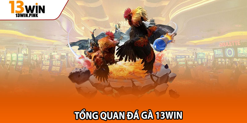 Đá Gà 13win – 4 Kiểu Cược Độc Lạ, Hấp Dẫn 1 Tổng quan đá gà 13win