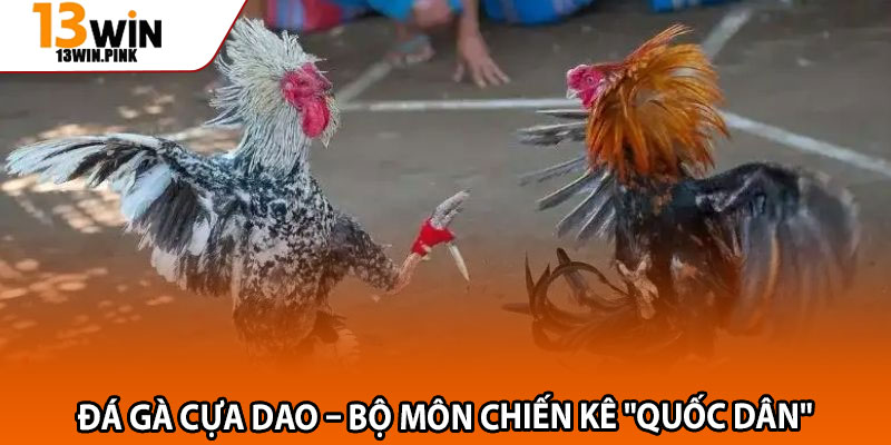 Đá Gà Cựa Dao 13win – Đấu Trường Cá Cược Uy Tín, Minh Bạch 2 Đá gà cựa dao – Bộ môn chiến kê "quốc dân"