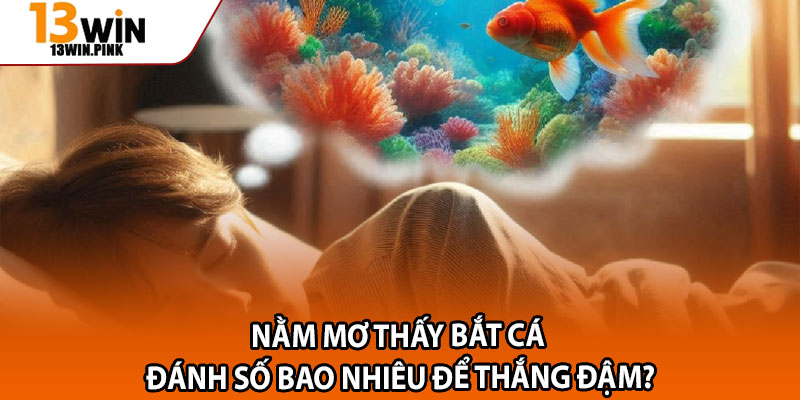 Mơ Thấy Bắt Cá – Giấc Mộng Báo Hiệu May Mắn Đến Gần? 4 Nằm mơ thấy bắt cá đánh số bao nhiêu để thắng đậm?